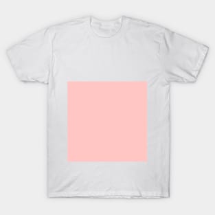 Gossamer Pink solid color Spring/Summer (2022) NYFW T-Shirt